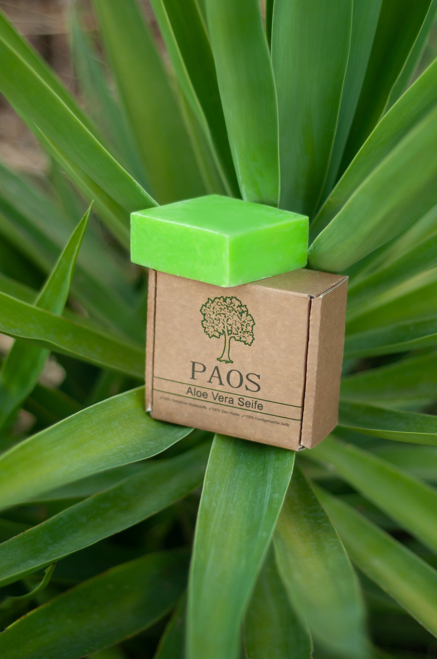 Aloe Vera Seife ca.150g, empfohlen bei Ekzemen, Neurodermitis, Herpes und Schuppenflechten - paos-naturkosmetik