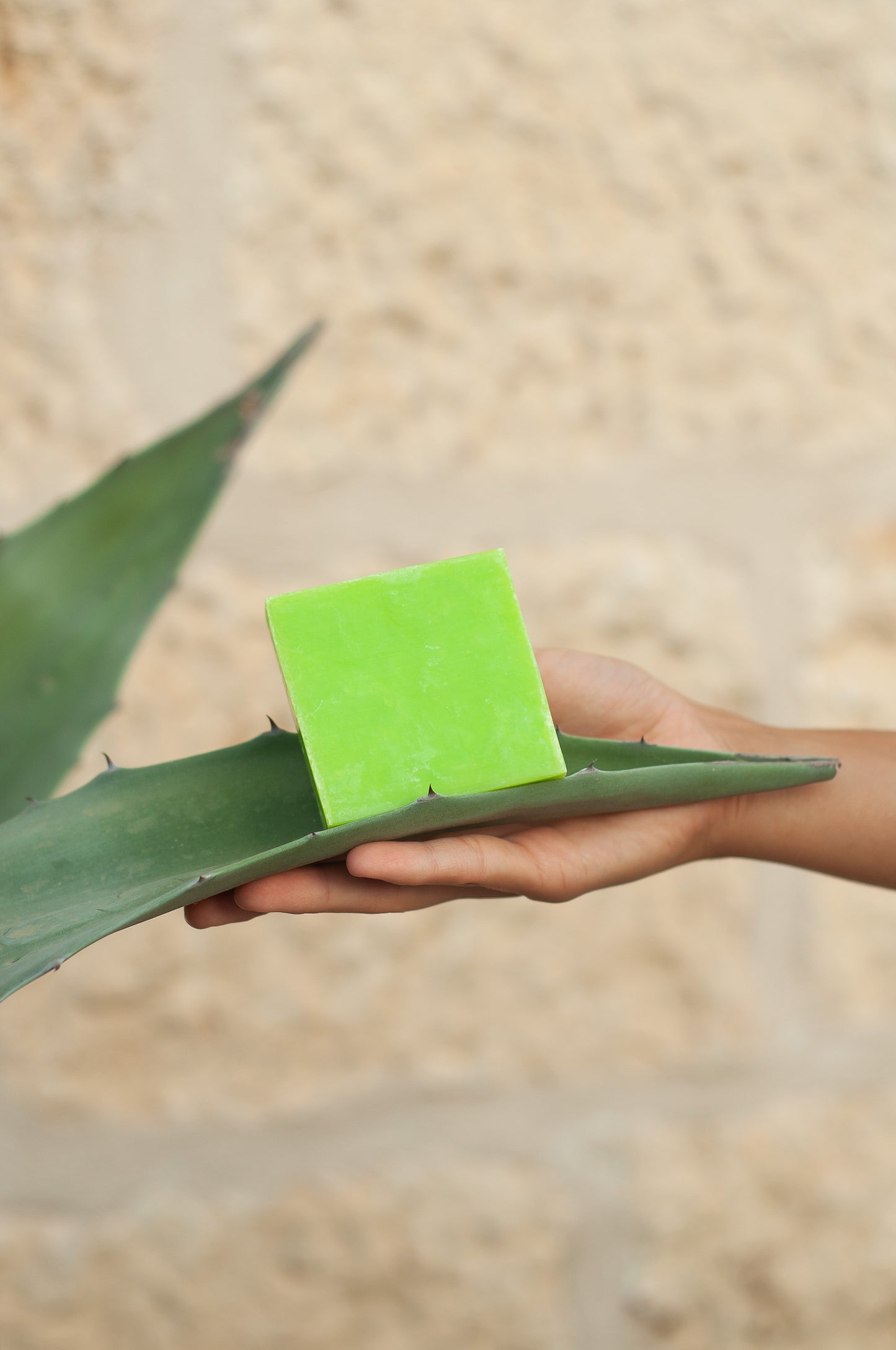 Aloe Vera Seife ca.150g, empfohlen bei Ekzemen, Neurodermitis, Herpes und Schuppenflechten - paos-naturkosmetik